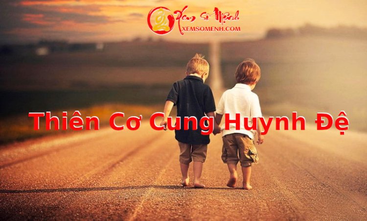 Ý Nghĩa khi Thiên Cơ Nhập Cung Huynh Đệ