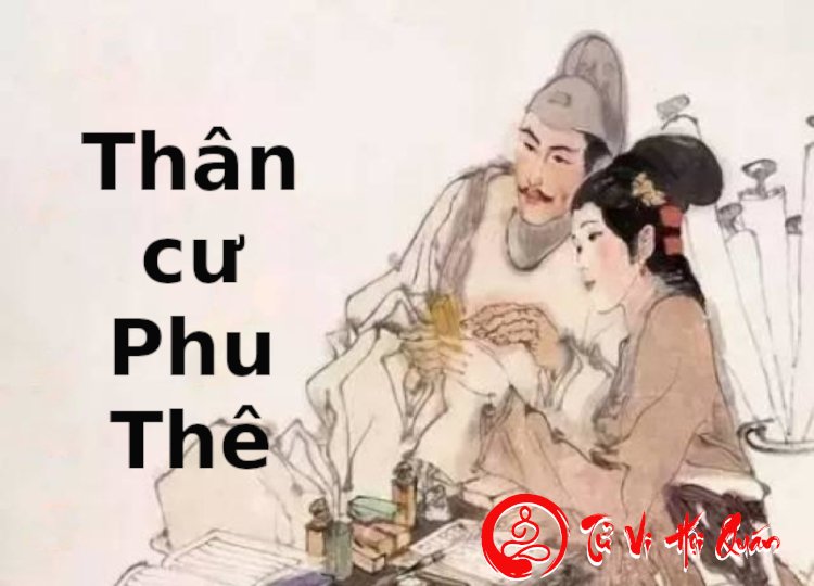 Tìm hiểu về Mẫu người Thân cư Phu Thê